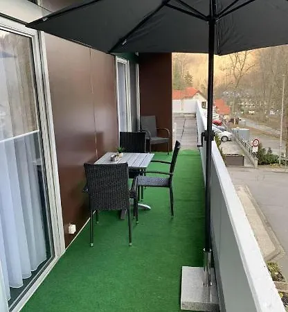 Mariposa 4 Incl Pool & Sauna Bad Harzburg Exterior foto